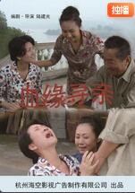 血缘寻亲(全集)