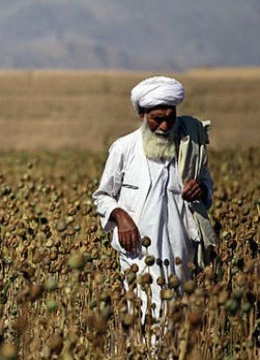 鸦片之初(全集)