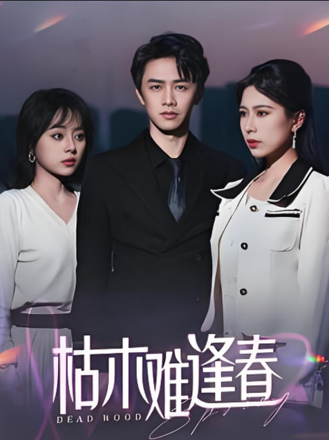 枯木难逢春(全集)