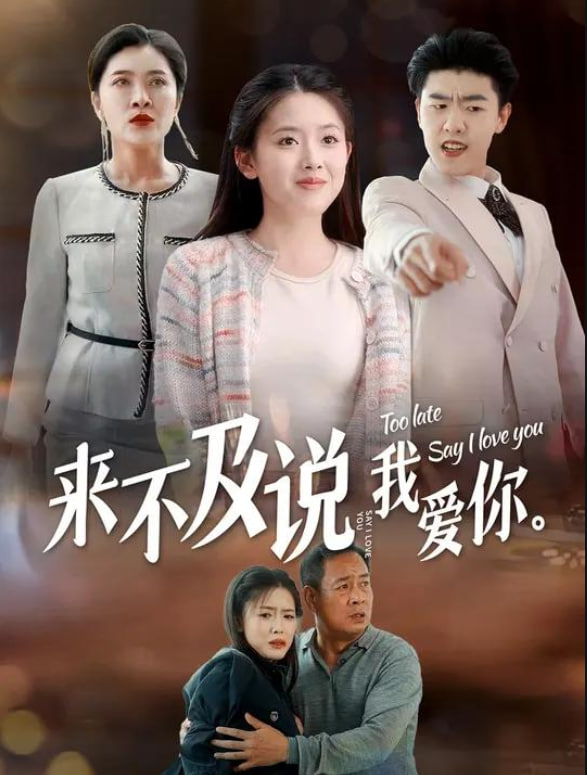 来不及说我爱你(全集)