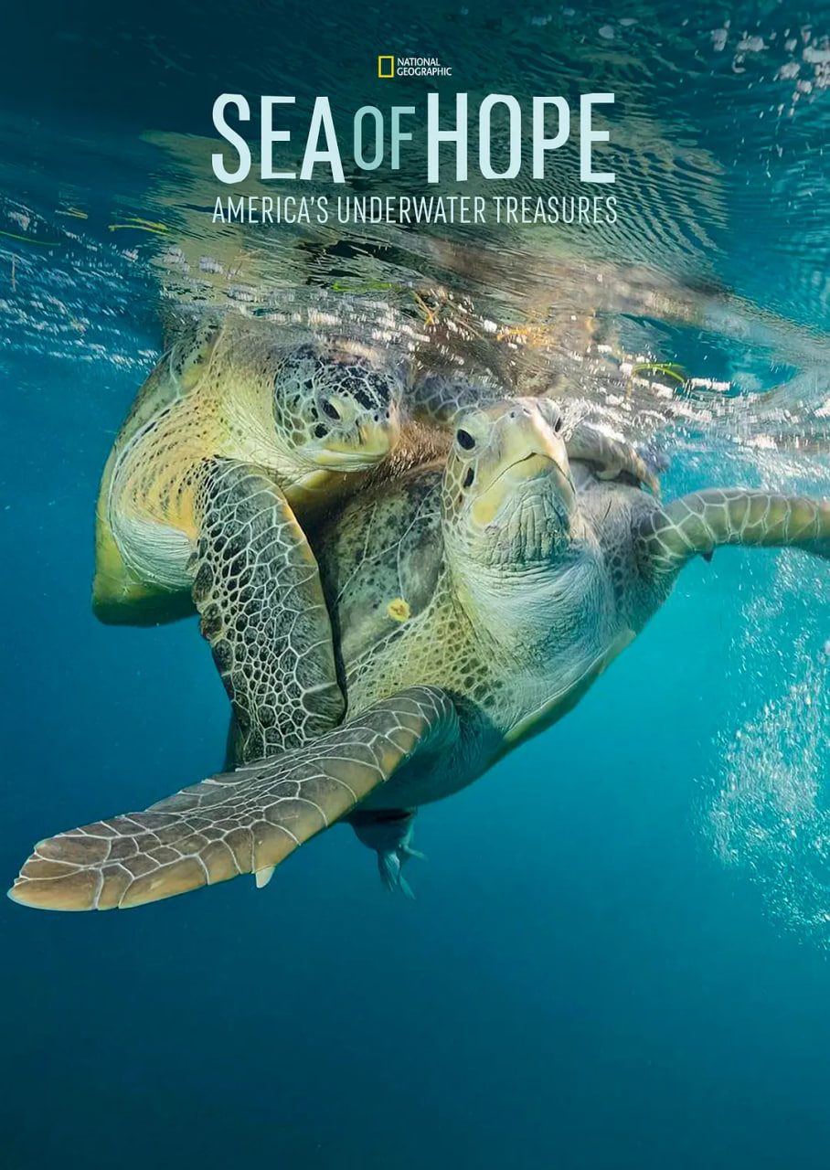 希望之海：美国海底之宝