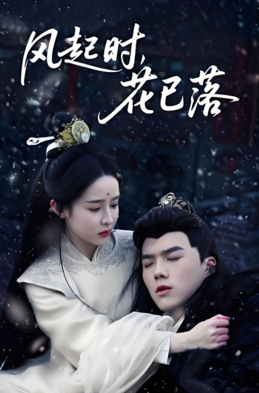 风起时，花已落(全集)