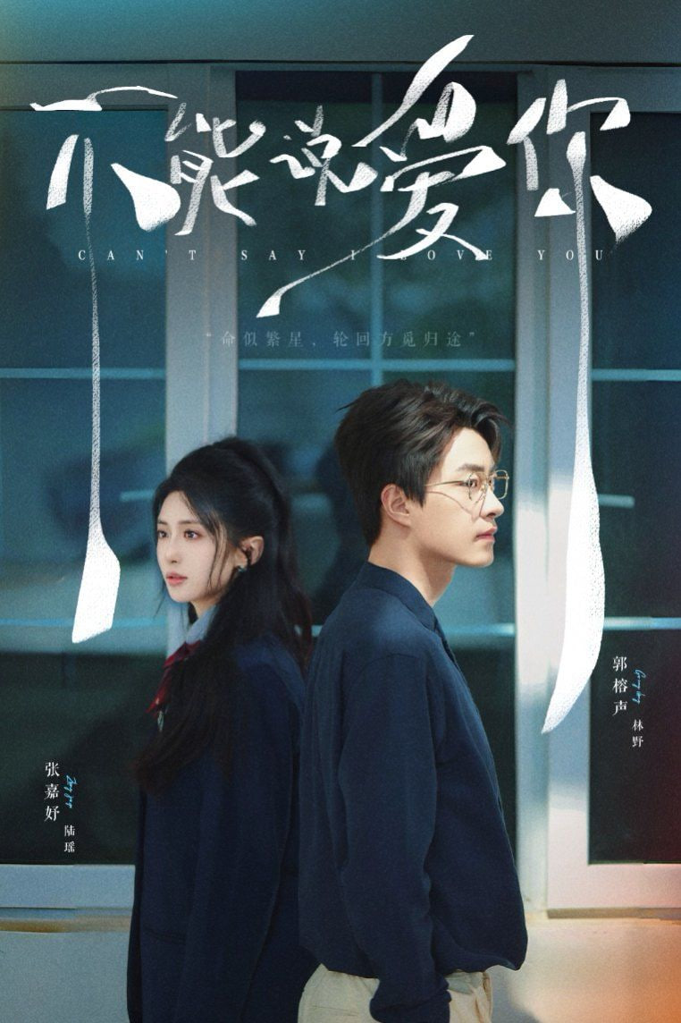 不能说爱你(全集)