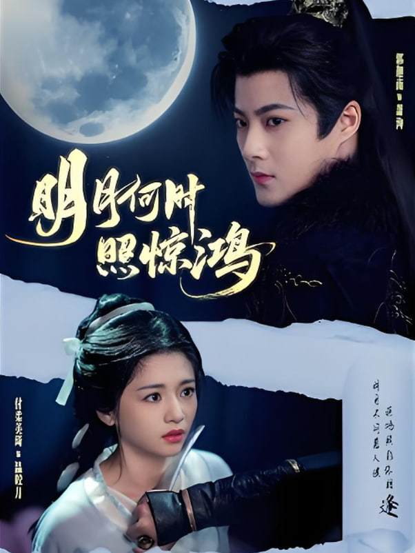 明月何时照惊鸿(全集)