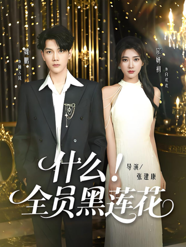 什么全员黑莲花(全集)