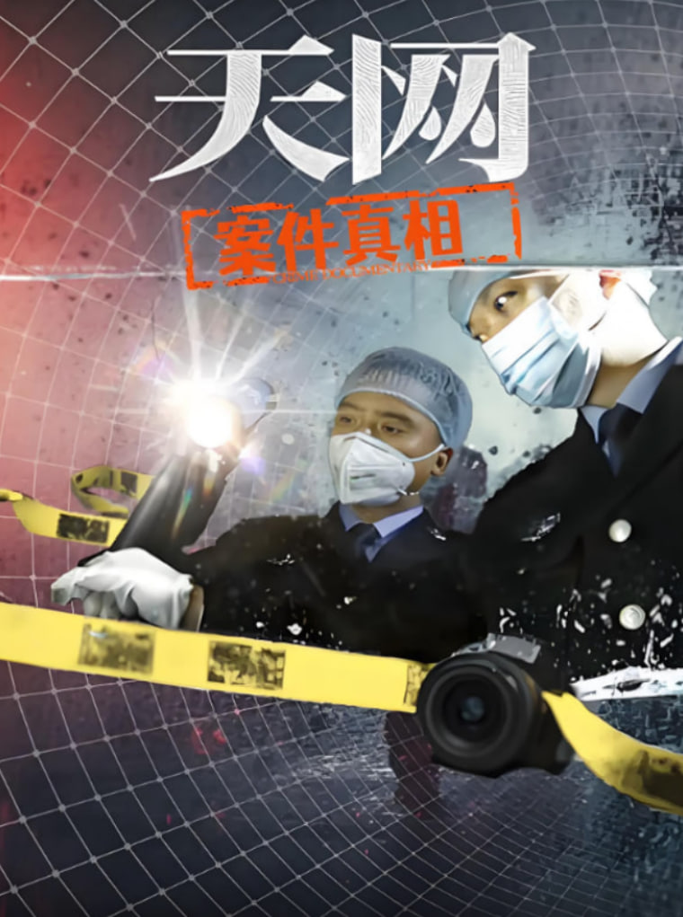 天网：案件真相(全集)