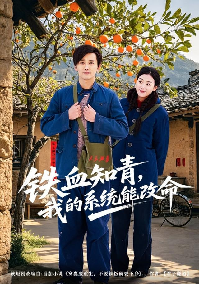 铁血知青，我的系统能改命(全集)