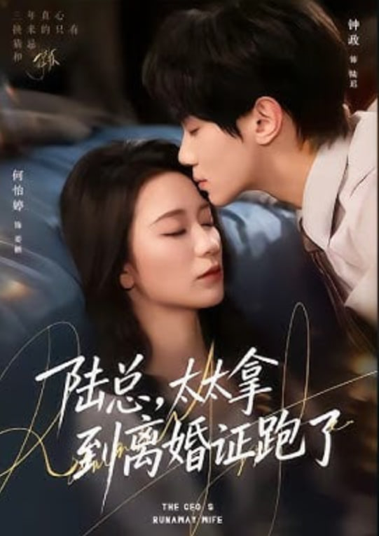 陆总，太太拿到离婚证跑了(全集)