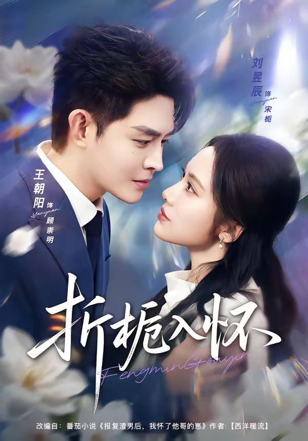 天才高手(全集)