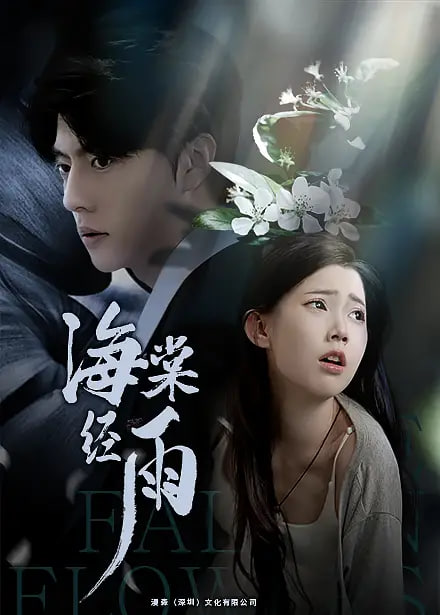 海棠经雨(全集)