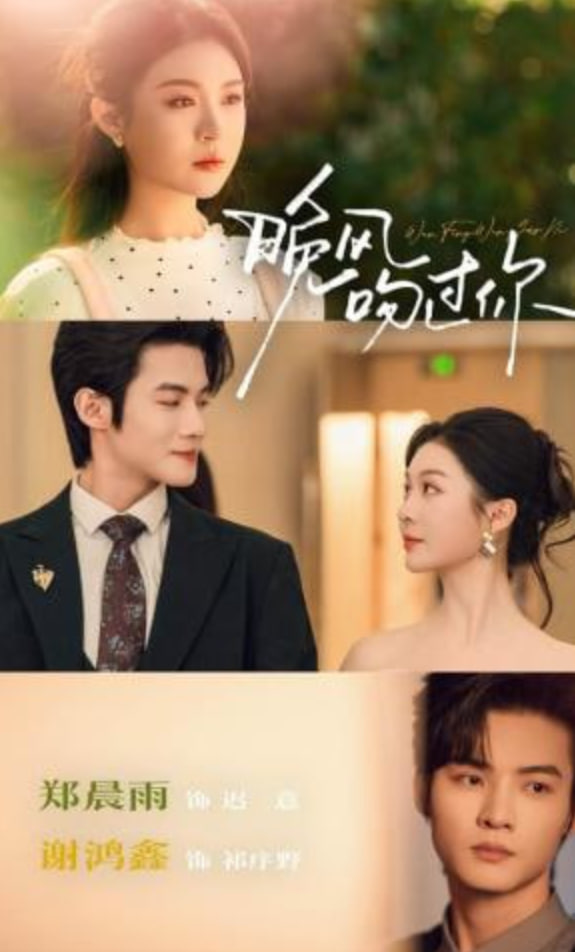 晚风吻过你(全集)