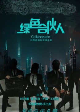 绿色合伙人(全集)