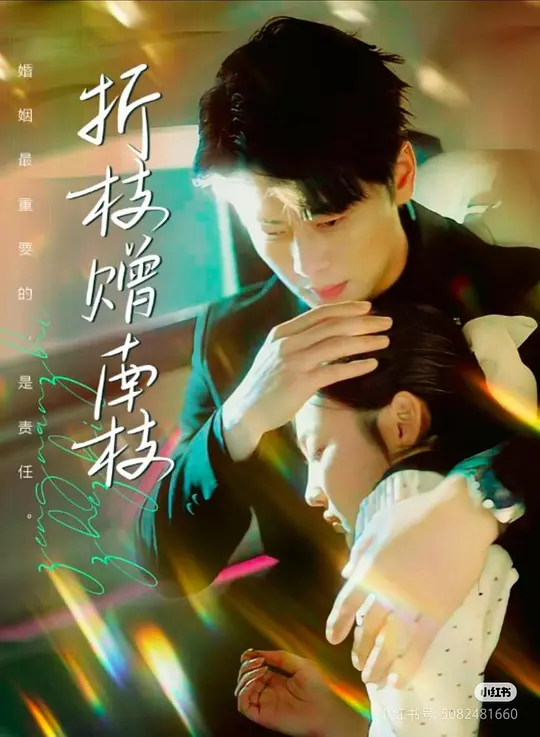 折枝赠南枝(全集)