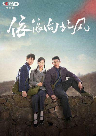 依依向北风(全集)