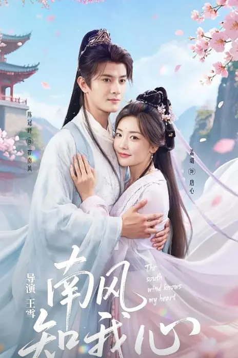 南风知我心(全集)