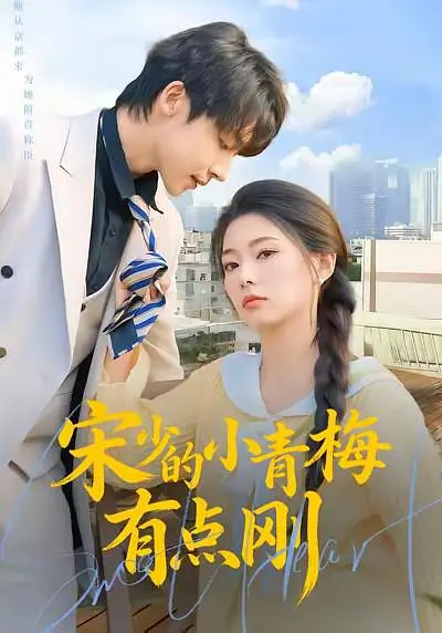 宋少的小青梅有点刚(全集)